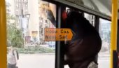СРБИЈА ОВО НЕ ПАМТИ: Шверцовала се, па бежала од контроле - кроз мали прозор (ВИДЕО)