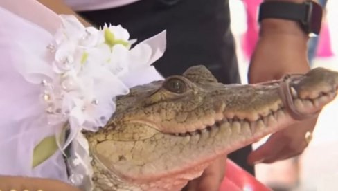 OŽENIO ALIGATORA: Nesvakidašnja svadba u Meksiku, mlada vezana zbog ugriza (VIDEO)