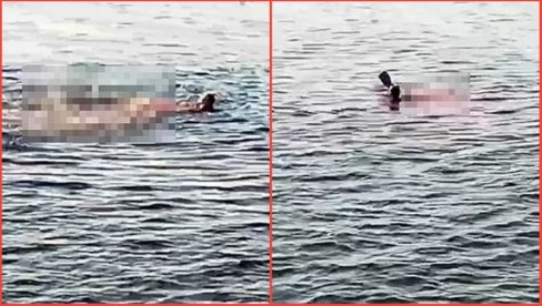 (УЗНЕМИРУЈУЋИ ВИДЕО) Ајкула у Хургади жени откинула руку и ногу - несрећна жена преминула