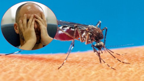 СТРУЧЊАЦИ УПОЗОРАВАЈУ: У Европи све више комараца који преносе јаке вирусе