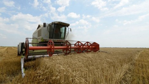 SAOPŠTENO IZ ERDOGANOVE KANCELARIJE: Sutra sporazum o izvozu ukrajinskog žita