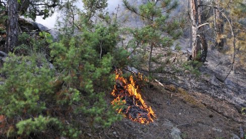 GROM ZAPALIO ŠUMU: Požar na rudnjansko-golijskoj visoravni