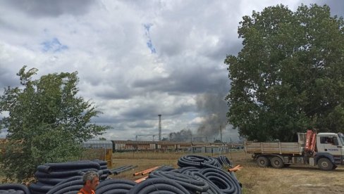 POŽAR U NOVOM SADU: Buknula vatra u šumici u bliznii Ranžirne stanice (FOTO/ VIDEO)
