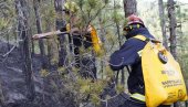 VELIKI POŽAR NA TARI: Gori kuća, vatra se širi ka šumi Nacionalnog parka