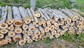 УХАПШЕНИ ЗБОГ КРАЂЕ: Секли туђу шуму и продавали огрев