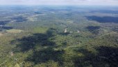 ŠTITE PLUĆA SVETA: Brazil pokušava da spreči uništenje amazonske prašume