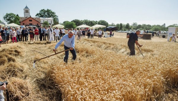 ТАКМИЧЕЊЕ РИСАРА: Градоначелник Бакић отворио традиционалну манифестацију (ВИДЕО)