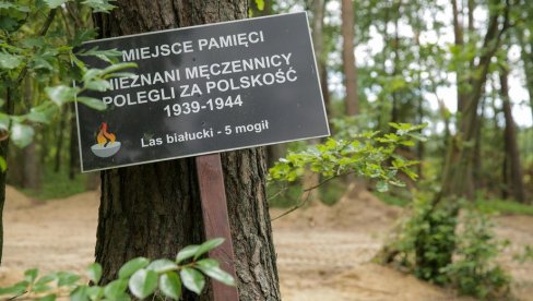 ПОД ЗЕМЉОМ 17,5 ТОНА ПЕПЕЛА ОД ЉУДСКИХ ТЕЛА: Језиво откриће у Пољској – пронађена масовна гробница најмање 8.000 нацистичких жртава (ФОТО)