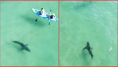 НЕВЕРОВАТАН СНИМАК: Били су на пет метара од ајкуле, а нису ни знали! (ВИДЕО)