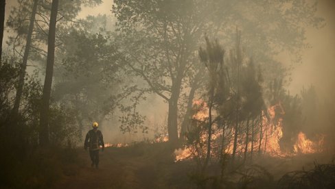 ПОЖАР КОД ТОПОЛЕ: Ватрена стихија захватила ниско растиње и део шуме