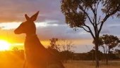 ЖИВОТНА СРЕДИНА ПРИОРИТЕТ: Аустралија изгубила више врста сисара него било који други континент
