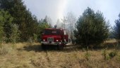 U GAŠENJU UČESTVOVALO VIŠE OD 10 EKIPA: Požar u Radanovačkoj šumi kod Subotice (FOTO/VIDEO)