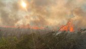 CRNOGORSKI VATROGASCI BEZ RADNE OPREME: Sezonu požara dočekali nespremni