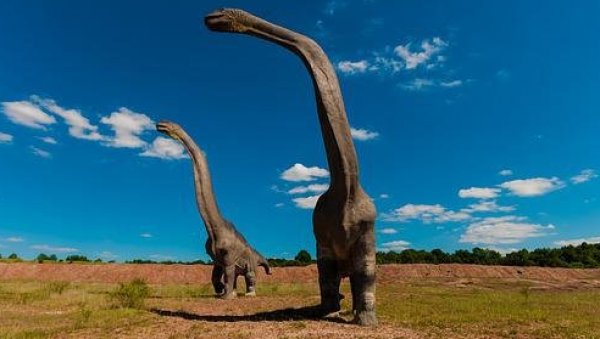 БИЛИ СУ ТЕШКИ КАО ТРИ АУТОБУСА: Отисци диносауруса стари 100 милиона година - у кинеском ресторану (ФОТО)