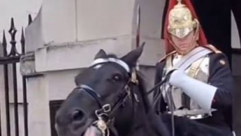 KRALJIČIN GARDISTA ZAURLAO NA TURISTKINJU: Htela da se slika pored konja, a onda gorko zažalila (VIDEO)
