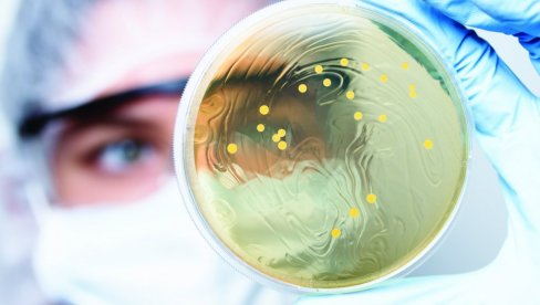 U TOKU ISPITIVANJA NA LJUDIMA: Razvijen novi antibiotik koji deluje protiv smrtonosne superbakterije