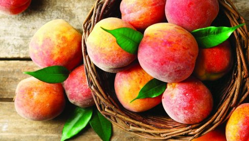 OSVEŽAVA I LEČI: Breskva - slasno voće koje podmlađuje, podstiče varenje i zasutavlja mučninu