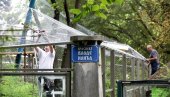 ŽIVOTINJSKO CARSTVO NA ADI SAFARI: Gradonačelnik za premeštaj zoološkog vrta sa Kalemegdana da bi simbol grada ušao konačno na listu Uneska
