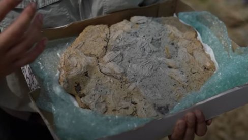 ПРЕДАТОР ИЗ ДОБА ЈУРЕ: Откривена риба фосил која искаче из стене, стара 183 милиона година  (ФОТО/ВИДЕО)
