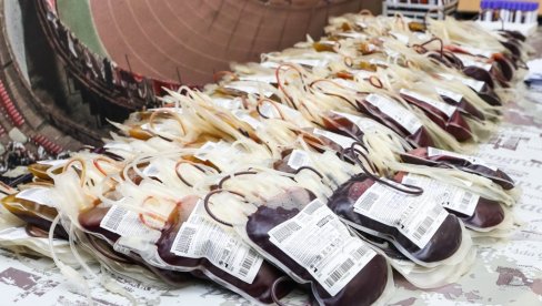 ЦРВЕНО-БЕЛА КРВ: Навијачи Звезде добили традиционални хумани позив, а ту су и карте за Селтик...