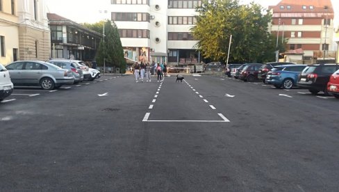ZAVRŠENA OBNOVA: Otvoren obnovljeni parking u centru Požarevca