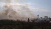 GORI RASTINJE KOD GAZELE: Vatrogasci stigli na intervenciju (FOTO/VIDEO)