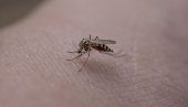 ЗА СЕДАМ ДАНА ГРОЗНИЦОМ ЗАПАДНОГ НИЛА ЗАРАЖЕНО ОСМОРО ЉУДИ: Још једна особа преминула од уједа комарца у Србији