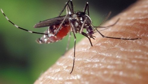 СТОП ХЕМИКАЛИЈАМА: Седам природних начина да се заштитите од комараца