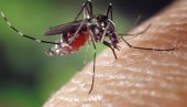 STOP HEMIKALIJAMA: Sedam prirodnih načina da se zaštitite od komaraca