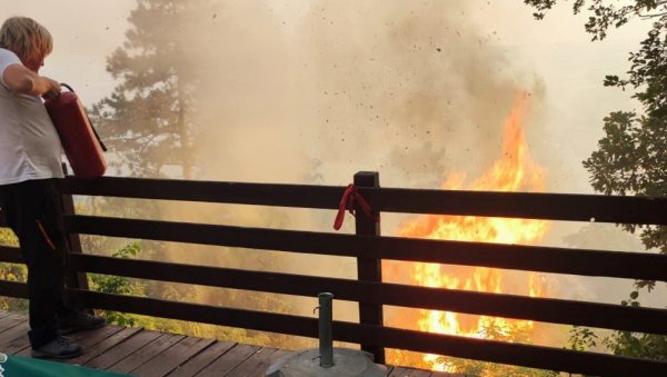 ПОЖАР У ИСТРИ: Гром изазвао ватрену стихију, гашење отежава јак ветар, запалила се шума