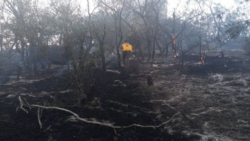 LJUDSKI FAKTOR KRIV ZA POŽAR: Vršačke planine gorele zbog nekoliko vatri zapaljenih oko hotela „Turist“ (FOTO)