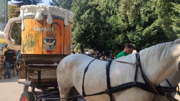 СОКАКОМ ПОТЕКЛИ ПОТОЦИ ПИВА: Почиње традиционална манифестација у Зрењанину (ФОТО/ВИДЕО)