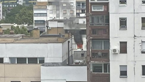 GORI STAN NA OSMOM SPRATU: Požar na Novom Beogradu