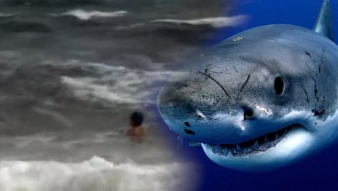 УЖАС НА ПОЗНАТОМ ЛЕТОВАЛИШТУ: Дечака (8) напало неколико ајкула - чуо сам вриштање, било је много крви