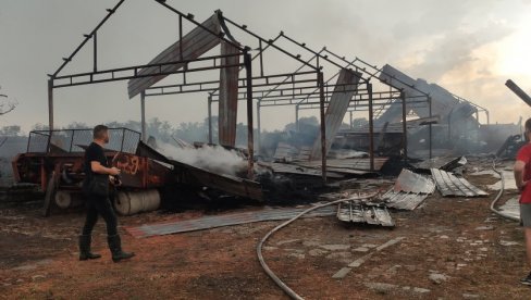 ЗАДЕСИЛА НАС ЈЕ ОВА НЕВОЉА: Густ дим обавио салаш код Зрењанина, ватрогасци се боре са пожаром (ФОТО)