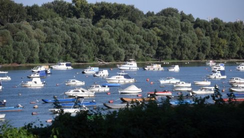 NIZAK VODOSTAJ  OTEŽAVA LAĐAMA I GUŠI RIBU: Visoke temperature nedeljama prouzrokovale nepovoljnu hidrološku situaciju na Savi i Dunavu