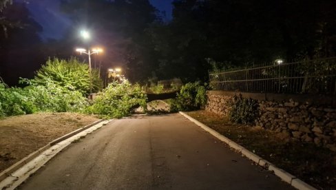 SNAŽAN VETAR SRUŠIO DRVO U VRŠCU: Stablo polomilo ogradu Gradskog parka (FOTO)