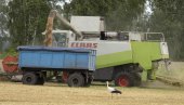 ПОЉСКА ПРЕДЛАЖЕ ЕУ: Поделимо украјинско жито