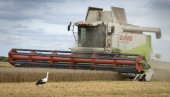 ŠTITE DOMAĆI POLJOPRIVREDNI SEKTOR: Poljska i Mađarska zabranile uvoz žitarica iz Ukrajine