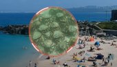 НАЈЕЗДА: Хиљаде ракова у плићаку растерали купаче са популарне плаже - призор као из филма страве