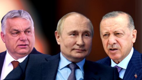 PUTIN I DALJE IMA PRIJATELJE U NATO: Američki diplomata ogorčen zbog bliskosti Erdogana sa ruskim predsednikom