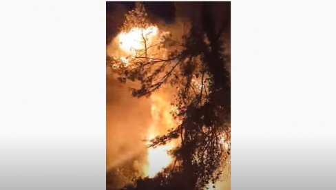DRAMATIČNO U CRNOJ GORI: Vatrogasci se bore sa više požara, vetar pogoršava situaciju (VIDEO)