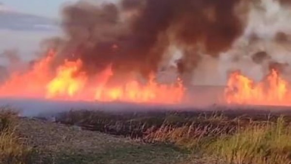 ПОЖАР КОД ЧЕНТЕ: Гори ниско растиње, види се густи облак дима! (ВИДЕО)