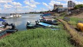 СПЛАВОВИ И ЧАМЦИ ЗАРАСЛИ У ТРАВУ: Низак водостај Дунава код Смедерева