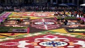 VELIČANSTVENE SCENE U BRISELU: Napravljen tepih od cveća uprkos vrućinama (FOTO)