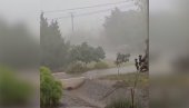 VETAR OBARAO STABLA, DRVO PALO NA AUTOMOBIL: Snažna oluja protutnjala kroz Kikindu (VIDEO)