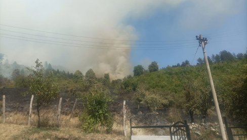 POŽAR U OKOLINI PRIBOJA: Vatra se proširila na šumu, vatrogasci i meštani se bore sa plamenom (FOTO/VIDEO)