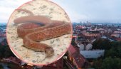 У КУЋИ ДРЖАО ЗМИЈЕ, АЛИГАТОРА И МАЈМУНА: Полиција из Смедерева ухапсила мушкарца због држања 15 егзотичних животиња
