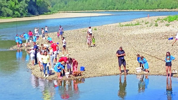САВ УЛОВ ВРАТИЛИ У РЕКУ: На Дрини код Бање Ковиљаче одржани Дани дечјег риболова