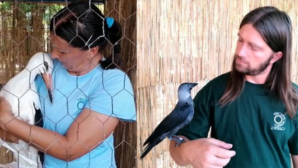 СПАСАВАЈУ ВРСТЕ ОД ИЗУМИРАЊА: Прихватилиште за угрожене  животиње у Вршцу (ВИДЕО)